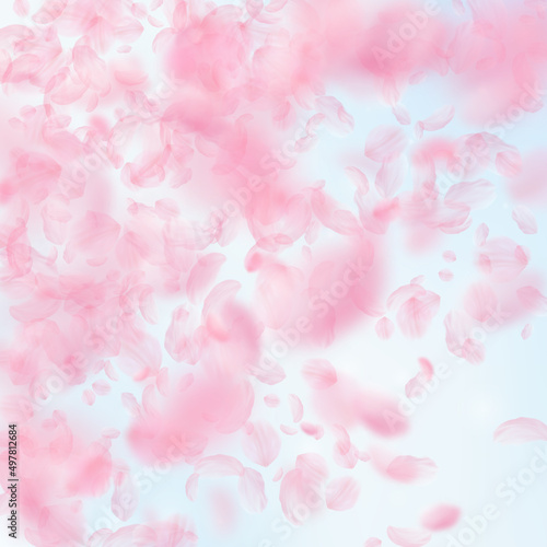 Sakura petals falling down. Romantic pink flowers gradient. Flying petals on blue sky square background. Love, romance concept. Awesome wedding invitation.