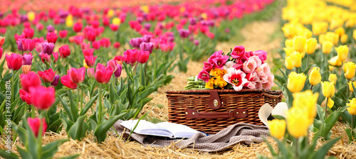 Wicker basket, plaid, book and bouquet of flowers in tulip field #497813801