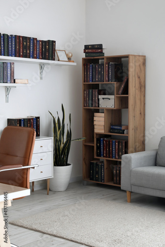 Bookcase with shelves in modern interior of room © Pixel-Shot