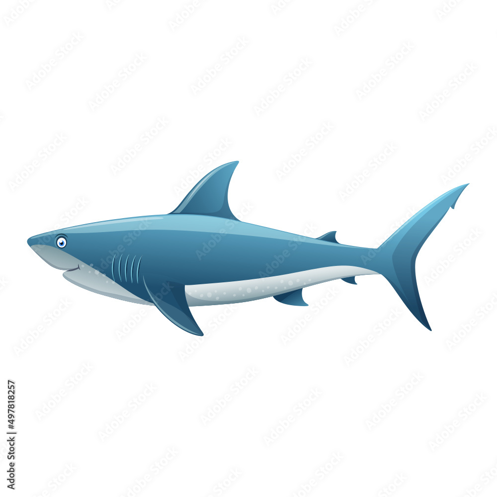 A Real Shark A Real Shark