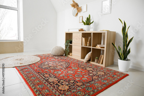 Interior of modern living room with shelving unit, houseplants and carpets