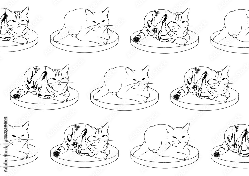 猫 猫