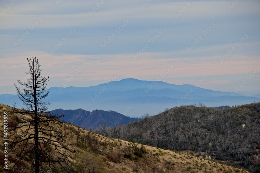 Fototapeta premium Angeles Crest Highway Drives