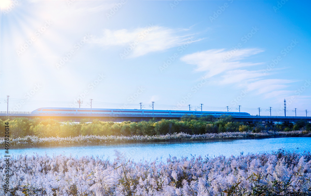 The train passed over the bridge, lake, trees and reeds on the side, high-speed railway The train passed over the bridge, lake, trees and reeds on the side, high-speed railway