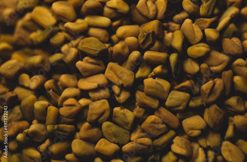 Its seeds and leaves are common ingredients in dishes from the Indian subcontinent, and have been used as a culinary ingredient since ancient times photo