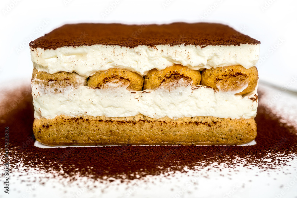 Fresh Tiramisu Cake, white background Fresh Tiramisu Cake, white background