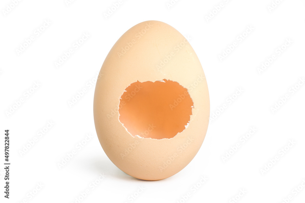 broken egg on the white background broken egg on the white background