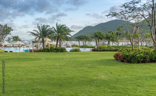 grass coconut tree and beach © hakule