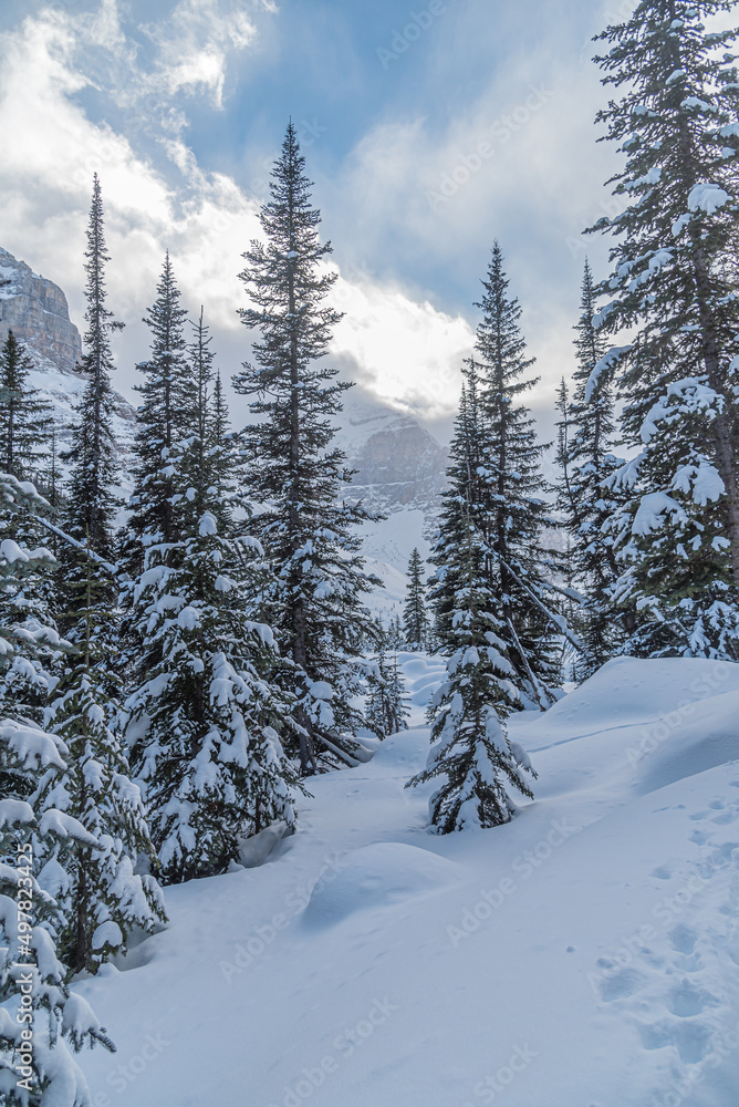 Rocky Mountain near Lake Louise