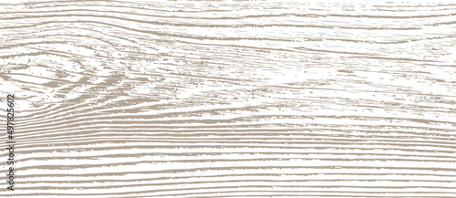 Texture of wood