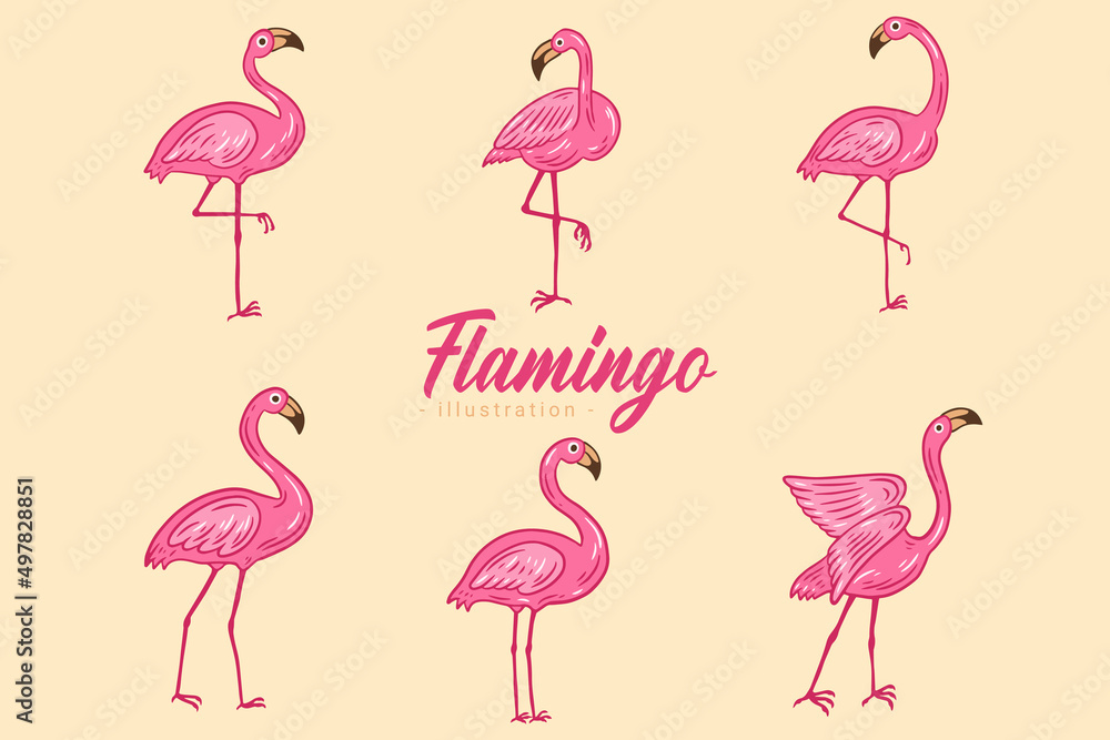 Obraz premium Set of Cute Flamingo pink Bird flamingos Aesthetic Tropical Exotic Hand drawn flat style collection