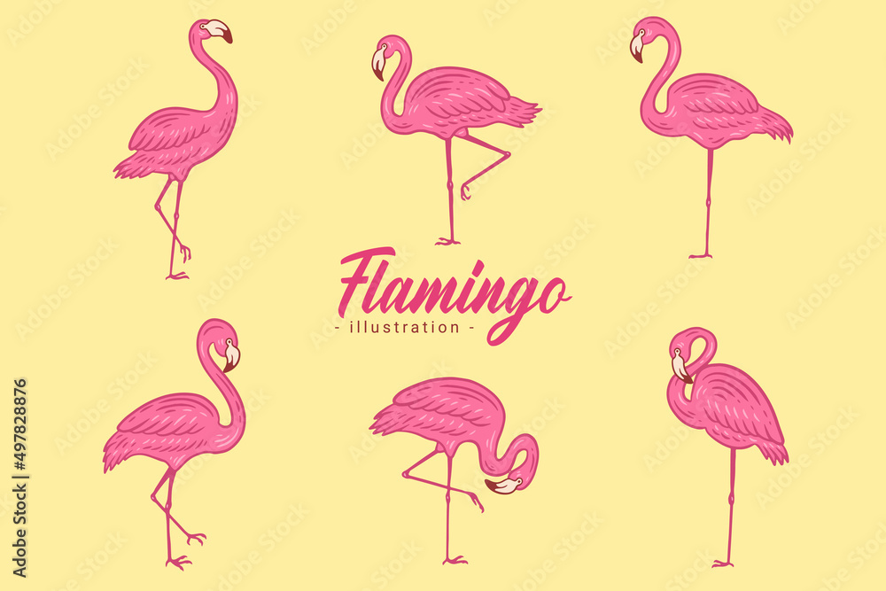 Obraz premium Set of Cute Flamingo pink Bird flamingos Aesthetic Tropical Exotic Hand drawn flat style collection