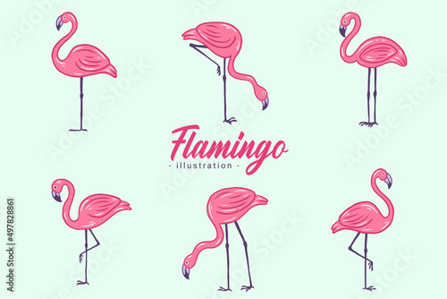 Set of Cute Flamingo pink Bird flamingos Aesthetic Tropical Exotic Hand drawn flat style collection © morspective