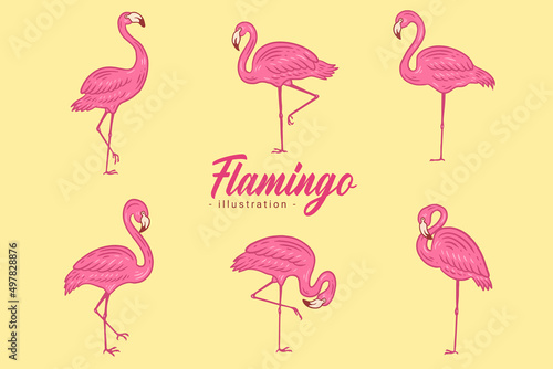 Set of Cute Flamingo pink Bird flamingos Aesthetic Tropical Exotic Hand drawn flat style collection
