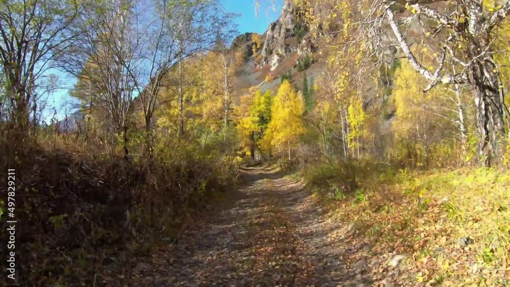 Hyperlapse Video of driving along muddy mountain road along Altai river Kumir in Autumn. Hyperlapse Video of driving along muddy mountain road along Altai river Kumir in Autumn.