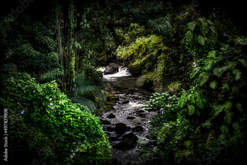 Gentil Stream Honolii, Hawaii