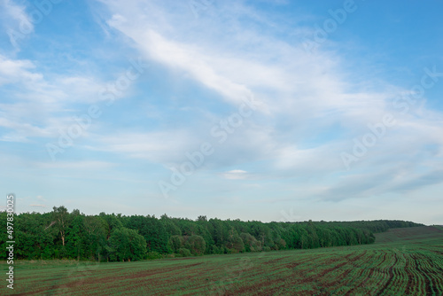 agriculture, background, beautiful, beauty, blue, cloud, countryside, day, environment, farm, field, grass, green, landscape, meadow, natural, nature, outdoor, plant, rural, scene, scenic, season, sky