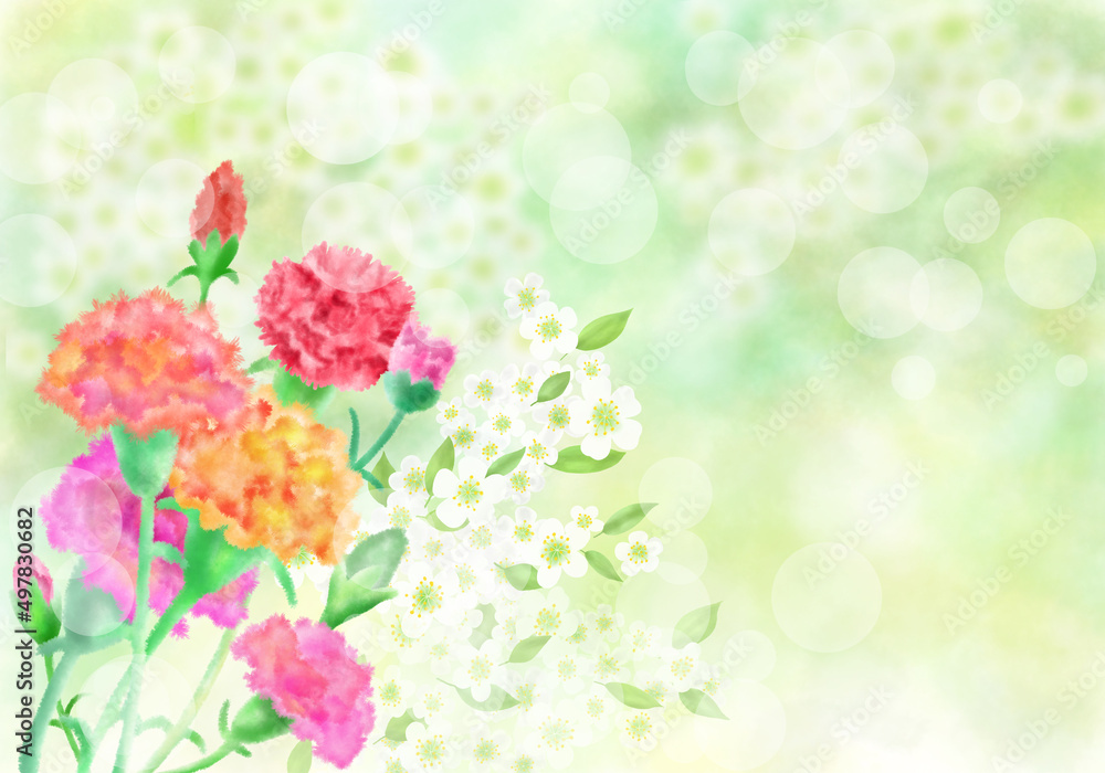 Carnation Watercolor Illustration Flower and Mother's Day Background