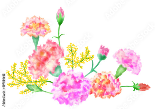 Carnation Watercolor Illustration Flower and Mother s Day Background
