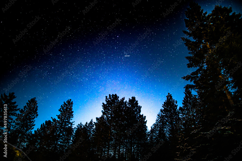 blue starry night blue starry night