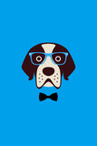 Gentlemen dog wear glasses and bowknot like a man, Fashion portrait of dog