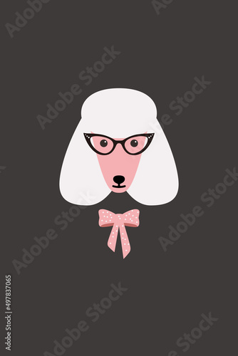 Elegant dog wear a bow tie, Fashion portrait of dog