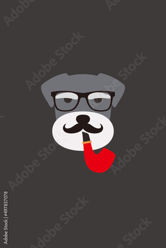 Gentlemen mustache dog wear glasses and with a tobacco pipe like a man, Fashion portrait of dog