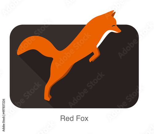 red fox jumping and hunting