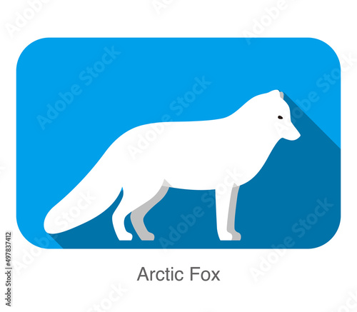 White Arctic fox standing, illustration vector
