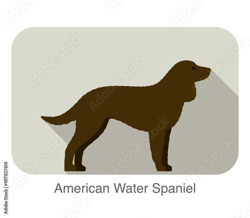 American water spaniel breed dog standing on the ground, side, dog cartoon image series