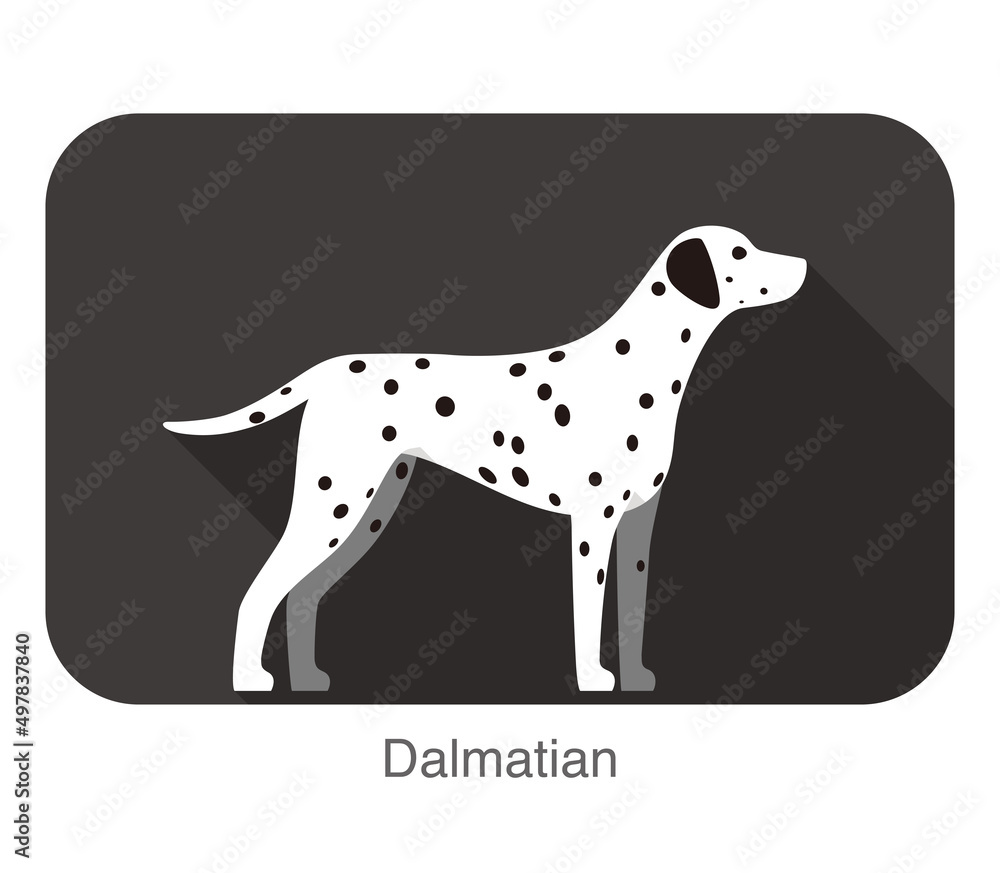 Dalmatian dog breed flat icon design, vector illustration
