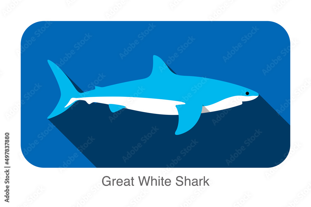 Fototapeta premium Great white shark swimming flat 3D icon design, vector illustration