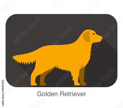 Golden retriever walking flat 3D icon design, vector illustration