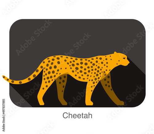 Fototapeta Naklejka Na Ścianę i Meble -  Cheetah walking side flat 3D icon design, vector illustration