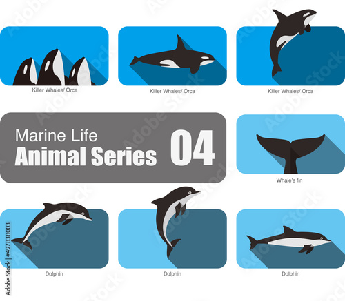 Marine life cartoon collection, vector, killer whale, orca, dolphin, vector illustration