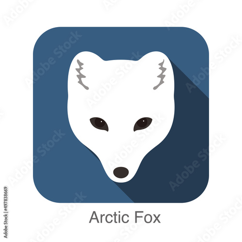 Arctic fox cartoon face, flat icon design