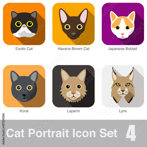 Cat breed face cartoon flat icon design