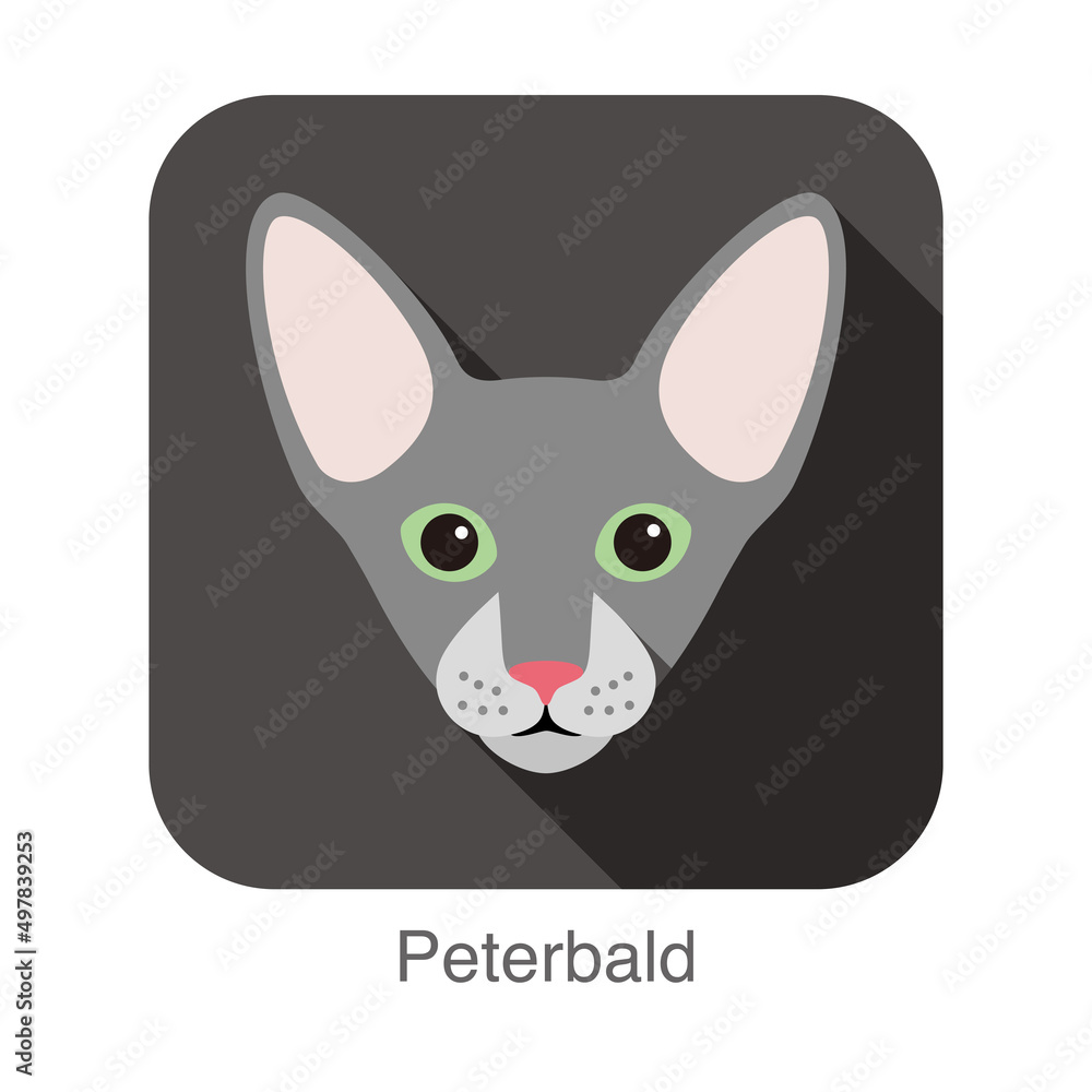 Peterbald Cat, Cat breed face cartoon flat icon design Peterbald Cat, Cat breed face cartoon flat icon design