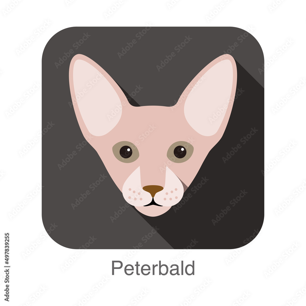 Peterbald Cat, Cat breed face cartoon flat icon design Peterbald Cat, Cat breed face cartoon flat icon design