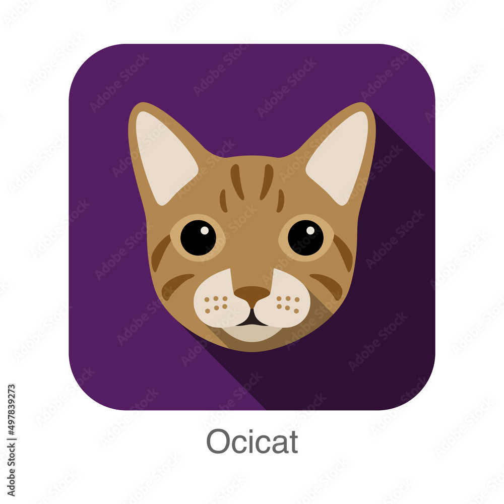 Ocicat Cat, Cat breed face cartoon flat icon design Ocicat Cat, Cat breed face cartoon flat icon design