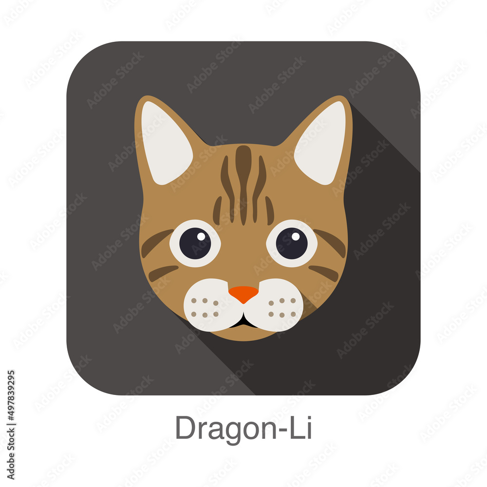 Dragon-Li, Cat breed face cartoon flat icon design Dragon-Li, Cat breed face cartoon flat icon design