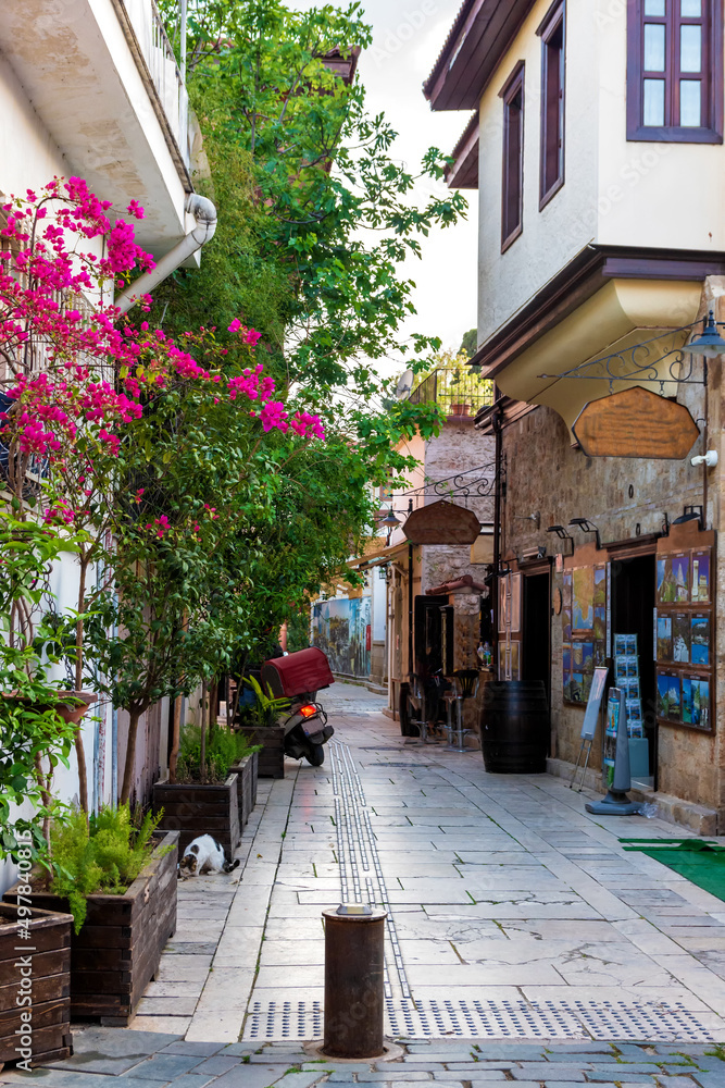 Naklejka premium Ottoman houses on the main pedestrian street in Antalya Old Town Kaleici district, Turkey