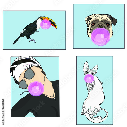 Vector Illustration of fashion set for t-shirts. The emblem of a pug, a toucan, a girl, a sphinx blank for a designer