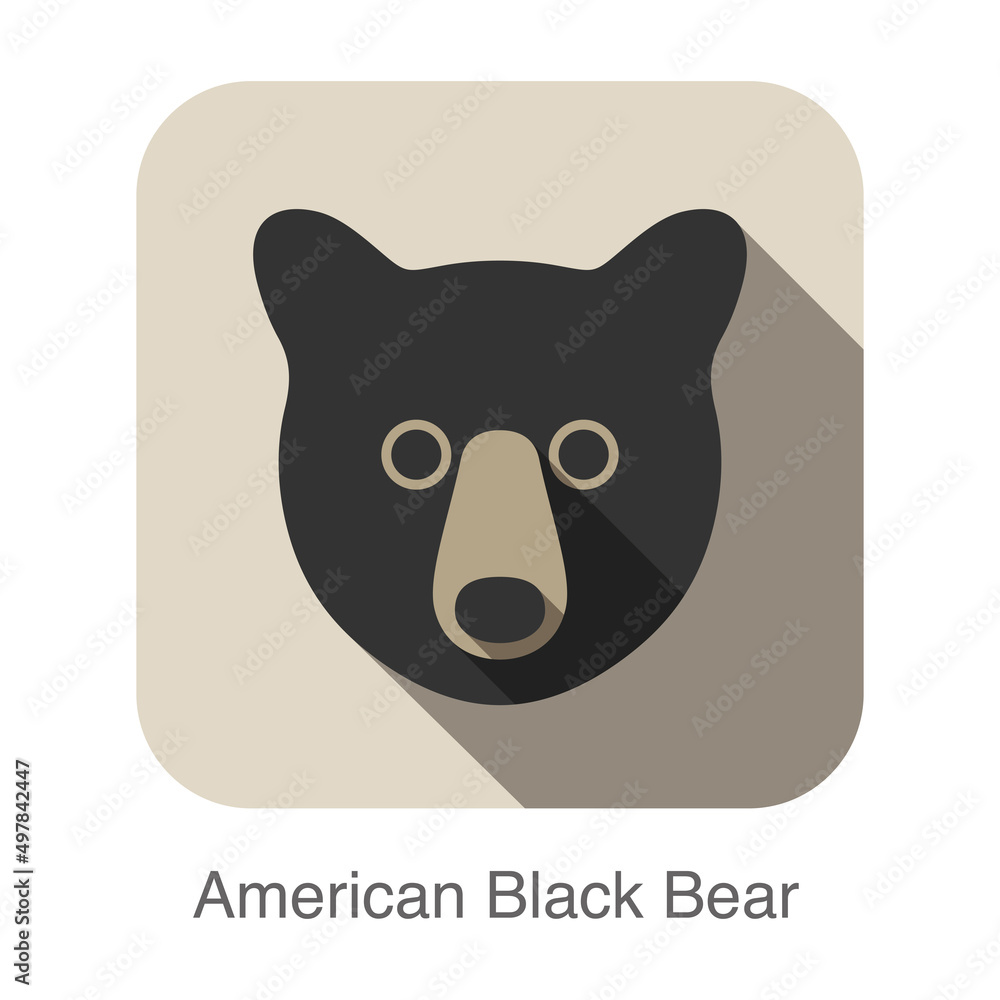 American black bear face flat icon design. Animal icons series.