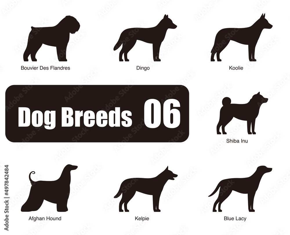 Dog breeds, standing on the ground, side view ,silhouette, black and white