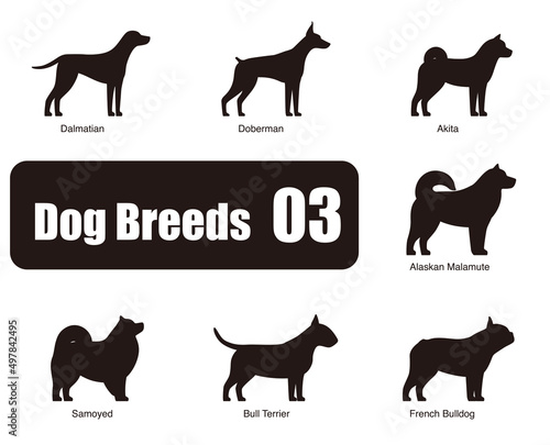 Dog breeds, standing on the ground, side view ,silhouette, black and white