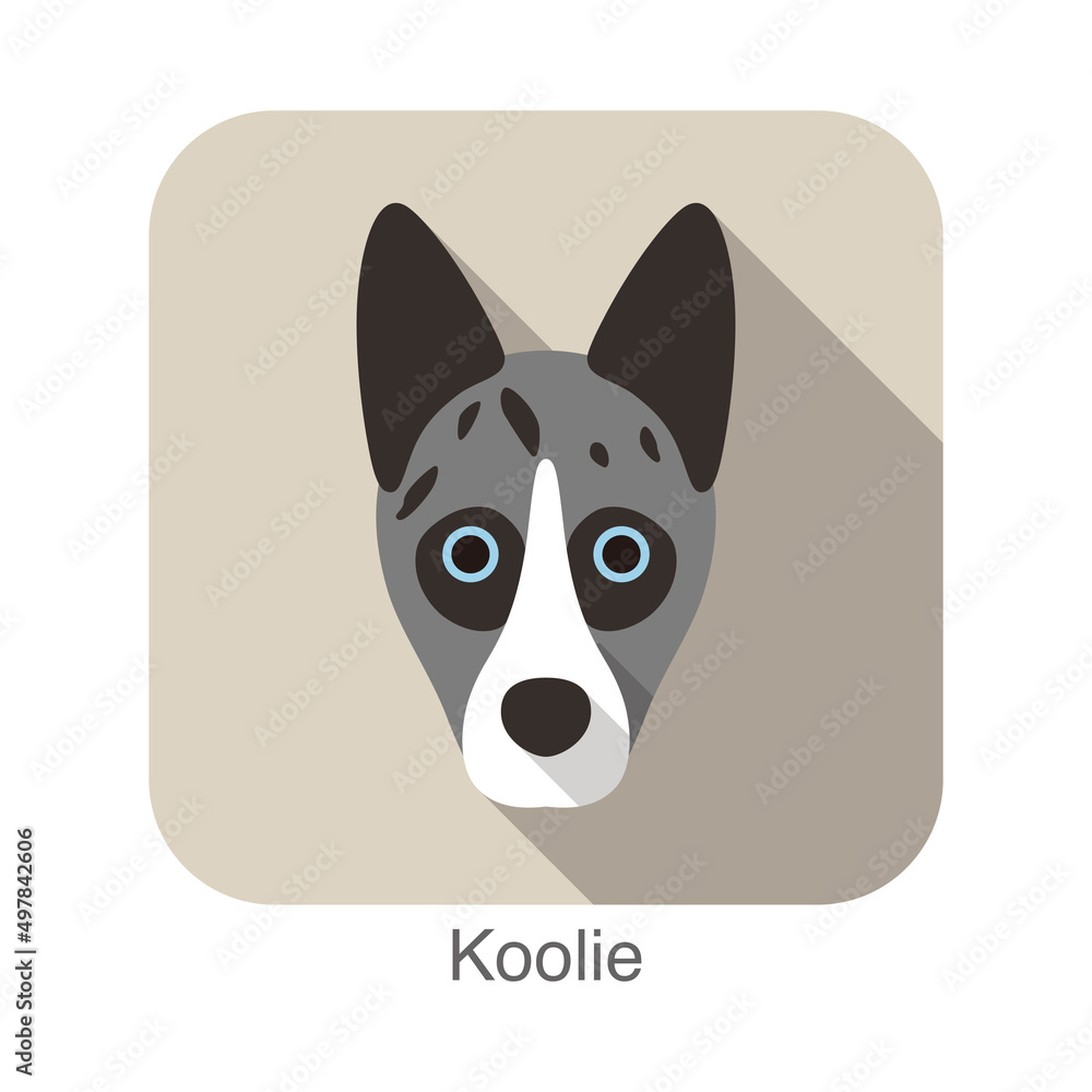 Koolie dog character, dog breed series Koolie dog character, dog breed series
