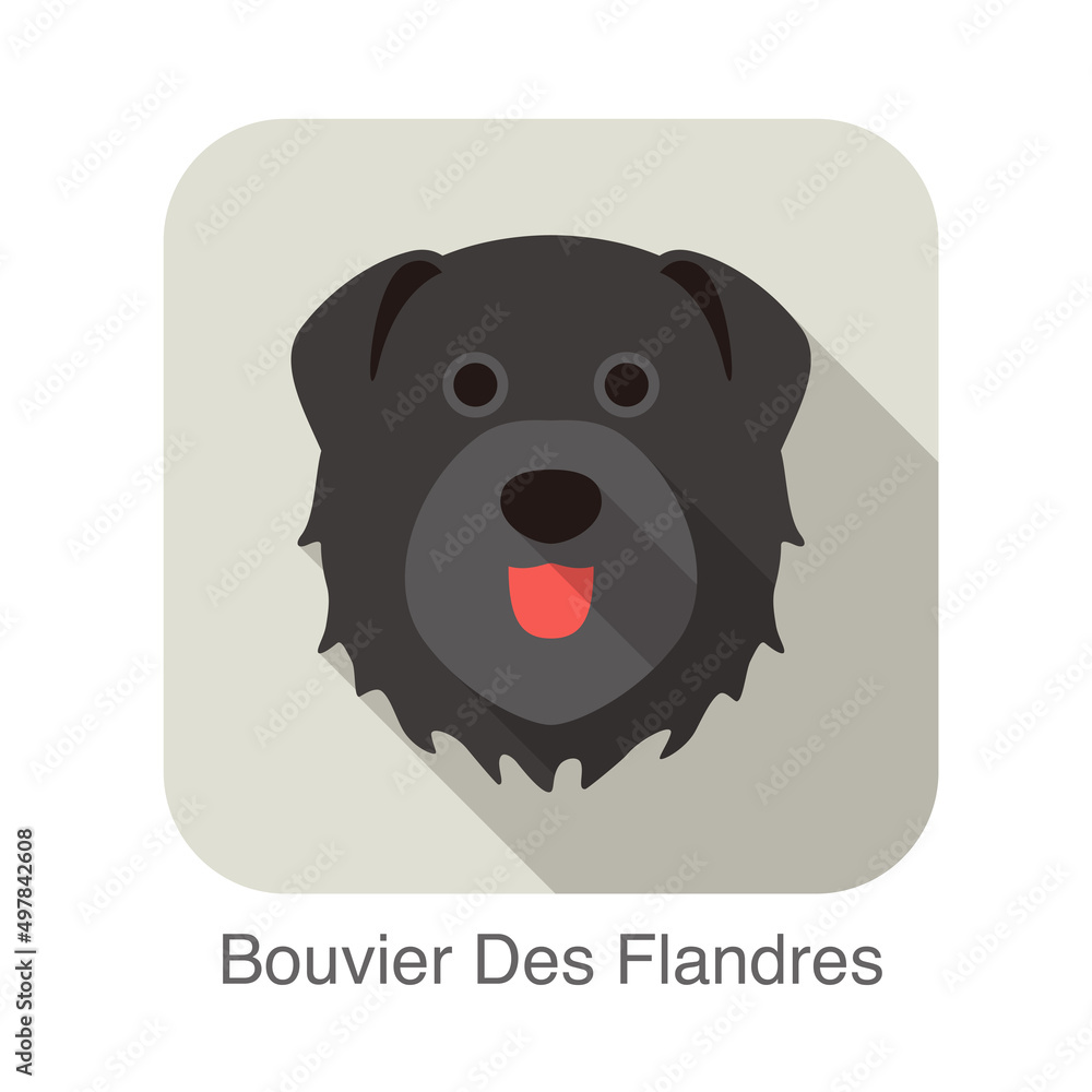 Bouvier Des Flandres dog face flat icon, dog series