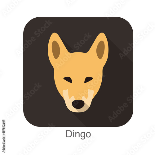 Dingo breed flat icon design photo