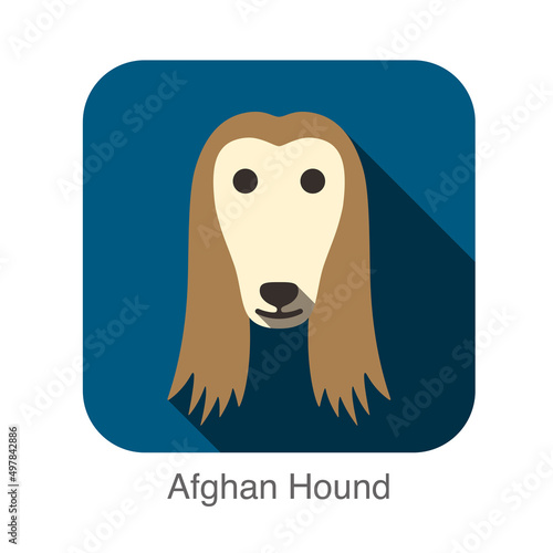 Afghan Hound animal face ui flat design